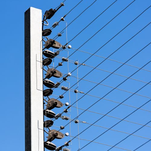 MAYORISTA DE TURISMO (500 x 500 px) (52)