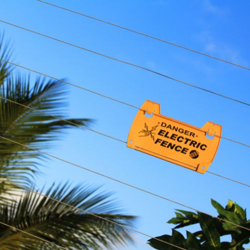 MAYORISTA DE TURISMO (500 x 500 px) (53)